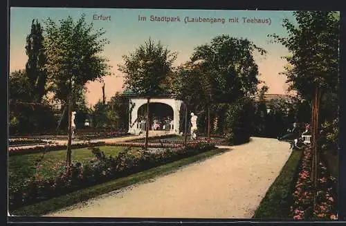 AK Erfurt, Laubengang mit Teehaus im Stadtpark