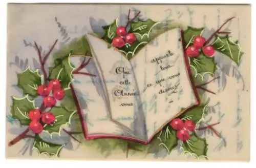 Zelluloid-AK Buch mit Beeren