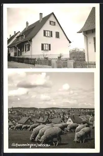 AK Schwenningen /Neckar, Haus Siegfried Butzkies, Nagoldstr. 43, weidende Schafe vor der Stadt