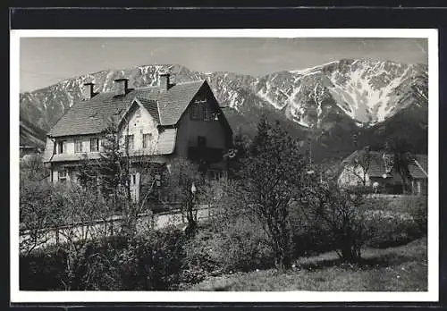 AK Puchberg a. Sch., Pension Triebl vor Bergpanorama