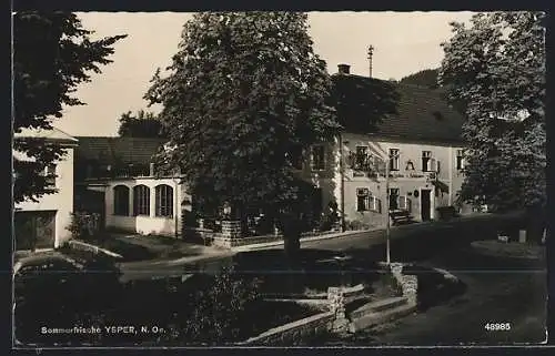 AK Ysper /N. Ö., Strassenpartie mit Gasthof Zum Goldenen Hirschen