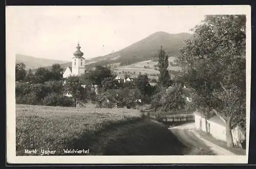 AK Ysper, Strassenpartie am Waldviertel