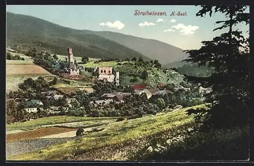 AK Weiten /N.-Oe., Streitwiesen, Ortsansicht mit Ruine