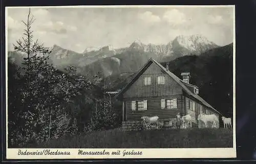 AK Rosenau am Hengstpass, Bodenwies, Menaueralm mit Gesäuse