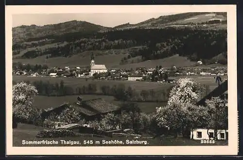 AK Thalgau, Ortsansicht mit Kirche, Panorama