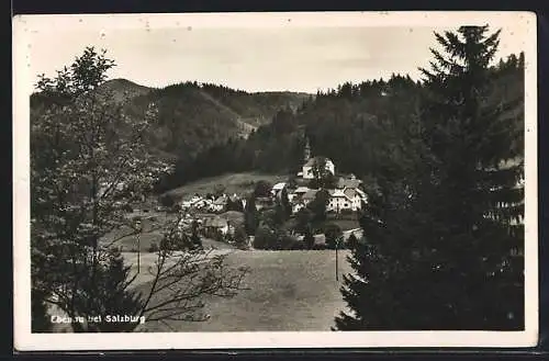 AK Ebenau bei Salzburg, Ortsansicht hinter Tannen