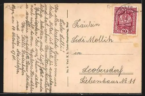 AK Steyr, Ortsansicht vom Tabor aus gesehen