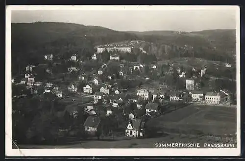 AK Pressbaum, Ortstotale, Blick zum Schloss