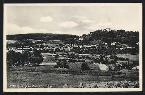 AK Westerburg im Westerwald, Totalansicht mit Feldern