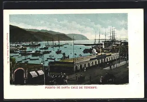 AK Santa Cruz de Tenerife, Puerto