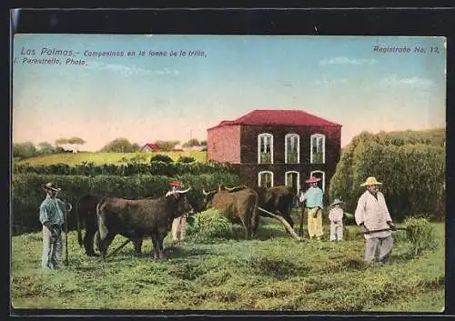 AK Las Palmas, Campesinos en la Faena de la trilia, Rinder