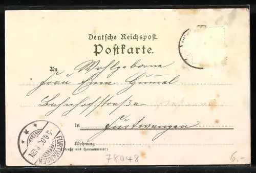 Lithographie Villingen / Schwarzwald, Münster, Romeus mit Speer, Totalansicht