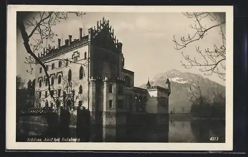 AK Salzburg, Das Schloss Anif