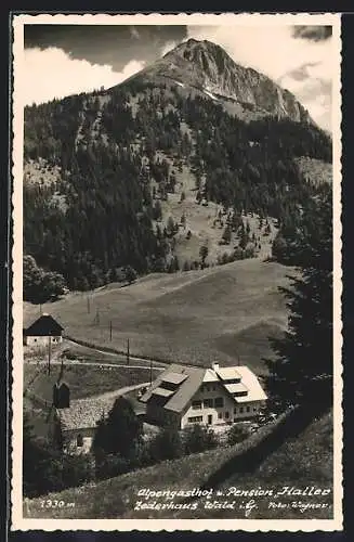 AK Zederhaus Wald i. Lg., Alpengasthof und Pension Haller