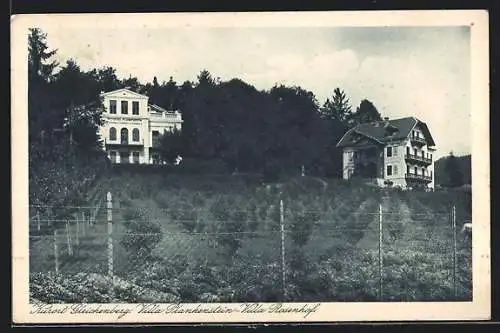 AK Bad Gleichenberg, Villa Plankenstein und Villa Rosenhof