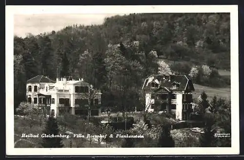 AK Gleichenberg, Die Villen Rosenhof und Plankenstein