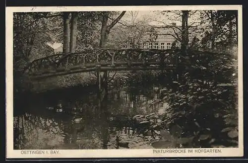 AK Oettingen i. Bay., Naturbrücke im Hofgarten