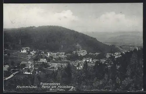 AK Krummhübel /Riesengebirge, Partie am Heidelberg