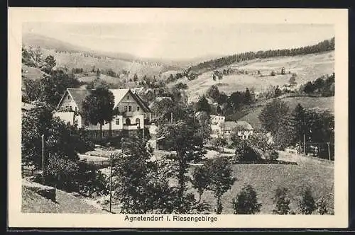 AK Agnetendorf, Panorama