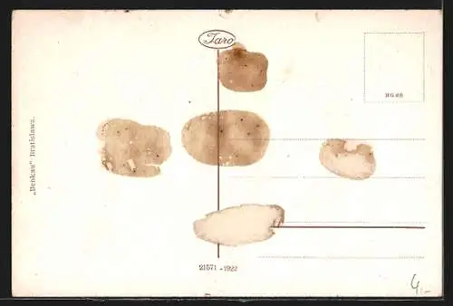 AK Pressburg, Dampfer vor dem Ort