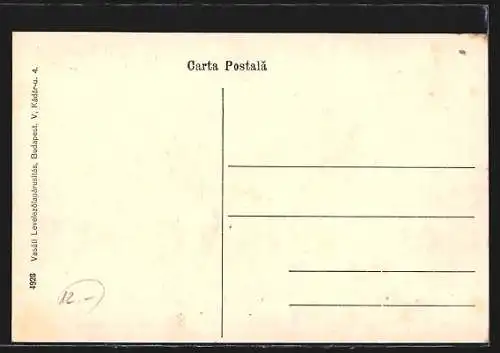 AK Arad, Strassenansicht