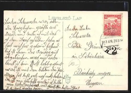 AK Arad, Felsö kereskedelmi iskola es parkreszlet