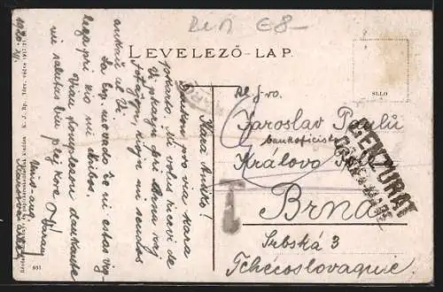 AK Marosvásárhely, Kultur palota