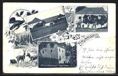 AK Vorderweissenbach, Fürstl. Starhemb. Jagdhaus und Forsthaus Brunnwald, Gasthaus