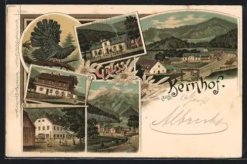 Lithographie Kernhof, Gasthaus Sattelhof, Restaurant Schreiner, Dependenz