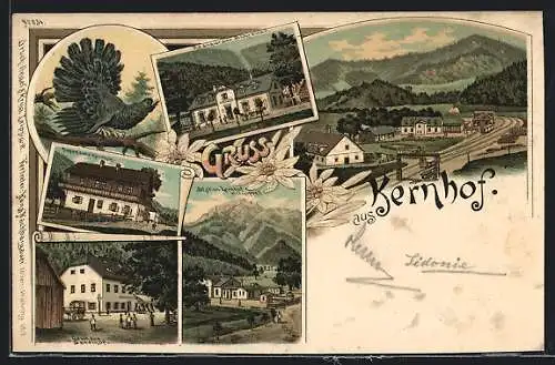 Lithographie Kernhof, Ortsansicht, Restaurant Schreiner, Gasthaus Sandhof