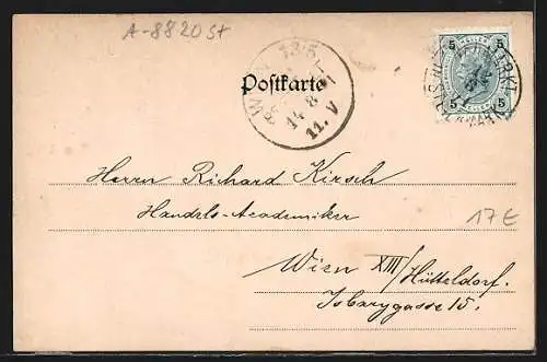 AK Neumarkt /Steiermark, Villa Buchberg, Pestsäule, Oberer Marktplatz