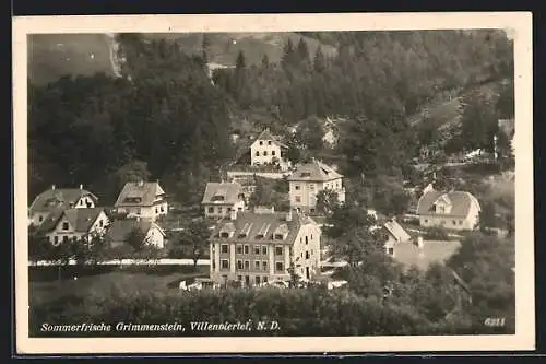 AK Grimmenstein /N. D., Villenviertel