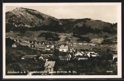 AK Grünbach a. d. Schneebergbahn /N. Do., Ortsansicht gegen Gelände