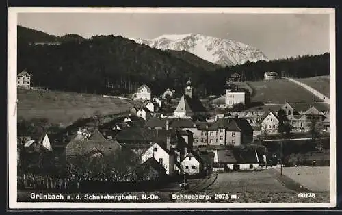 AK Grünbach a. d. Schneebergbahn /N.-Oe., Ortsansicht mit Schneeberg