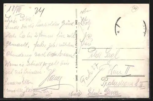 AK St. Pölten, Panorama der Stadt