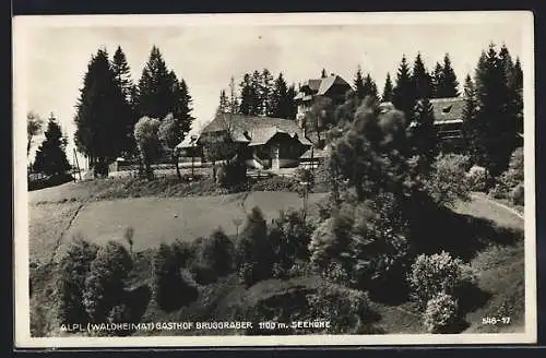 AK Alpl, Gasthof Bruggraber (Waldheimat)