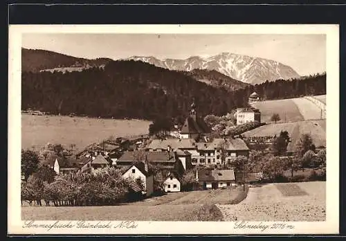 AK Grünbach /N.-Oe., Ortsansicht mit Schneeberg