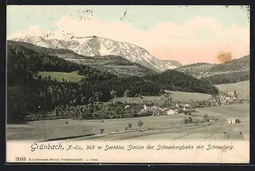 AK Grünbach /N.-Oe., Gesamtansicht mit Schneeberg
