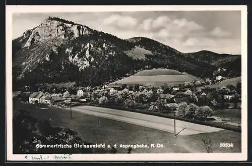 AK Gleissenfeld a. d. Aspangbahn, Panorama