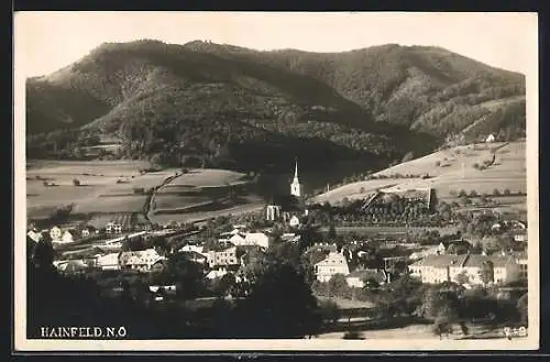 AK Hainfeld /N.-Ö., Totalansicht