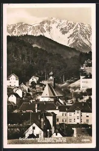 AK Grünbach /N.-Oe., Ortsansicht mit Schneeberg