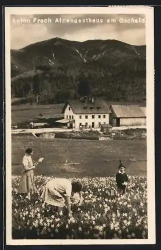 AK Kernhof, Alpengasthaus am Gscheid