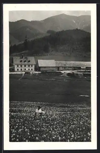 AK Kernhof, Gasthaus Am Gscheid mit Göller