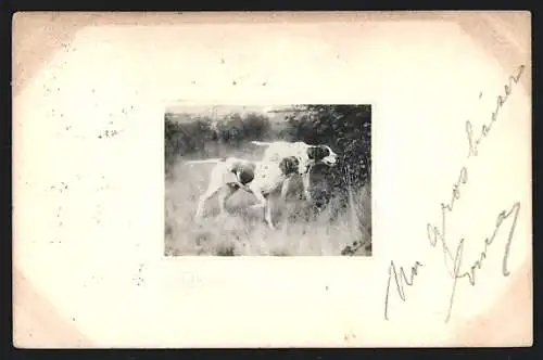 Künstler-AK M. Munk Nr. 267: Hunde nehmen Witterung auf