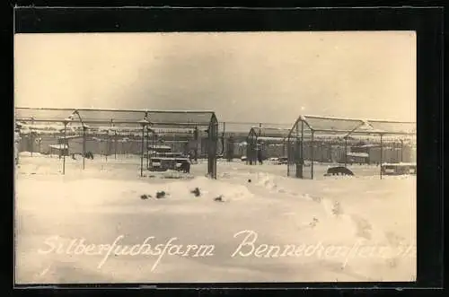 AK Benneckenstein /Harz, Silberfuchsfarm