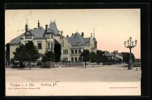 AK Torgau a. d. Elbe, Strassenpartie Nordring