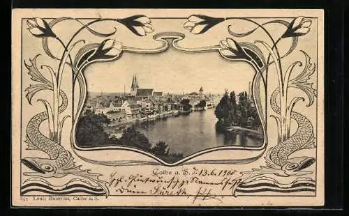 AK Calbe a. S., Ortsansicht und Flusspartie aus der Vogelschau