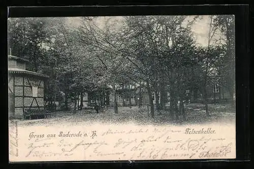 AK Suderode a. H., Gasthaus Felsenkeller