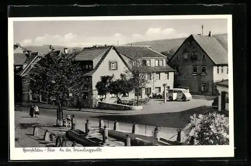 AK Beerfelden /Odw., Mümlingquelle
