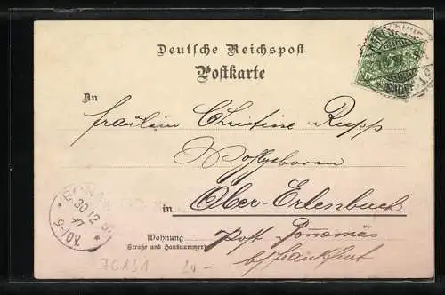 Lithographie Karlsruhe, Blick auf das Schloss